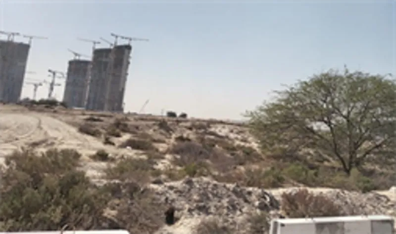 Dubai Land Department inspection thumbnail for the Chavelle plot — desert scrub with other towers under construction in the distance